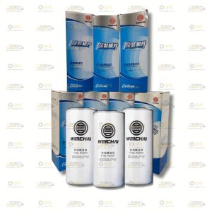 FILTRO DE COMBUSTÍVEL WEICHAI - 1000422382